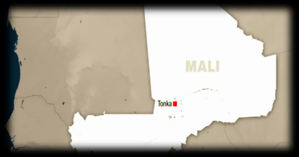 Mali : assassinat d'un responsable d'organisation de jeunes par le Jnim à Tombouctou