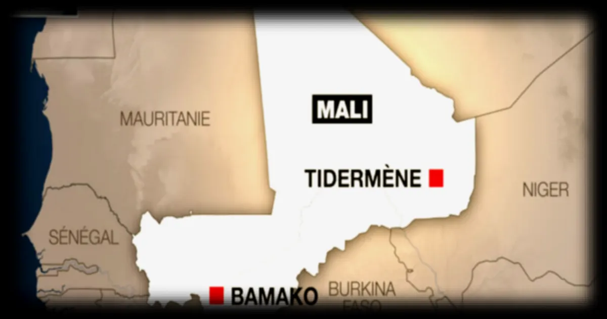 Mali : huit civils tués dans une frappe de drone de l'armée à Ménaka