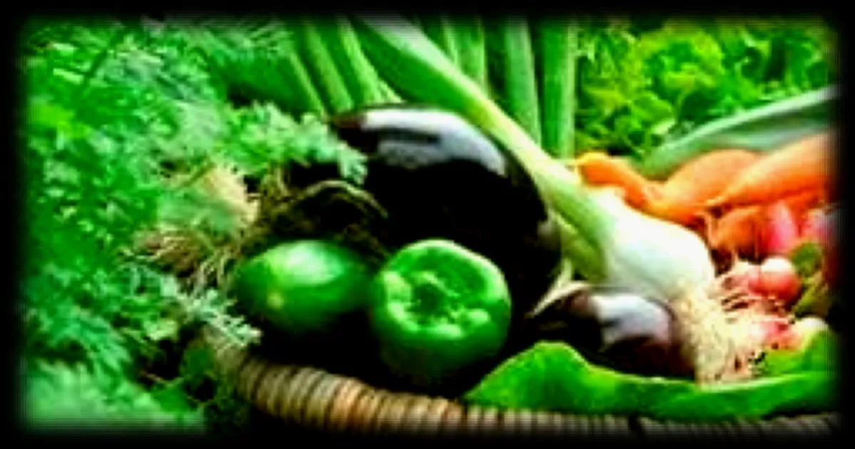 Manger équilibré sans se ruiner : les conseils de Victoria Mével pour une alimentation saine et accessible