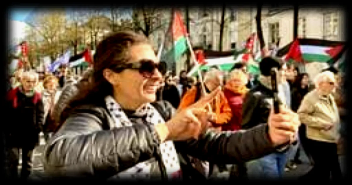 Manifestation en soutien aux Palestiniens à Angers : des centaines de personnes rassemblées