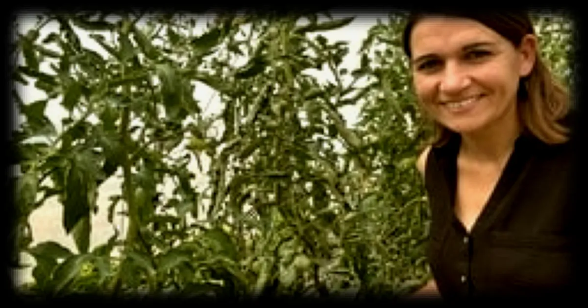 Marion Ripaud partage ses conseils pour cultiver de belles tomates en direct ce jeudi
