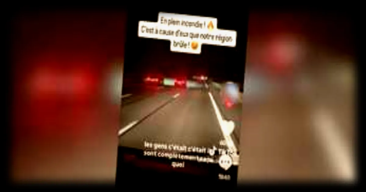 Mégots jetés par la fenêtre : des automobilistes filmés et dénoncés sur les réseaux sociaux en pleine saison des incendies