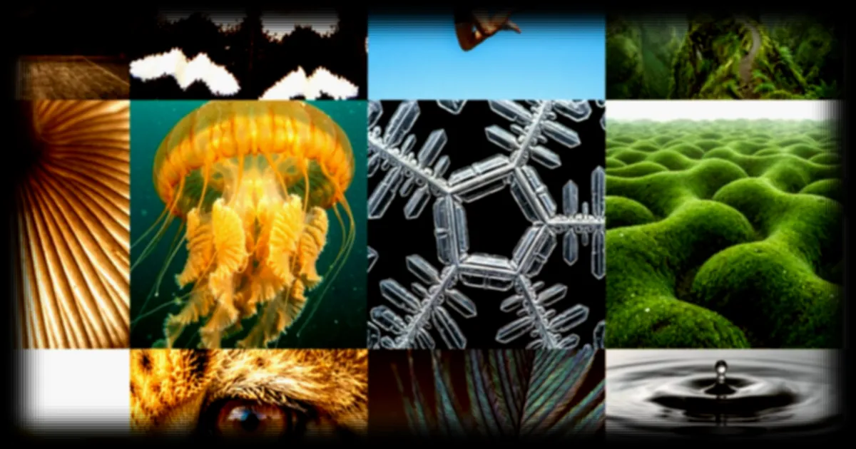 Microsoft lance MAI-Image-2, sa propre génération d'images IA