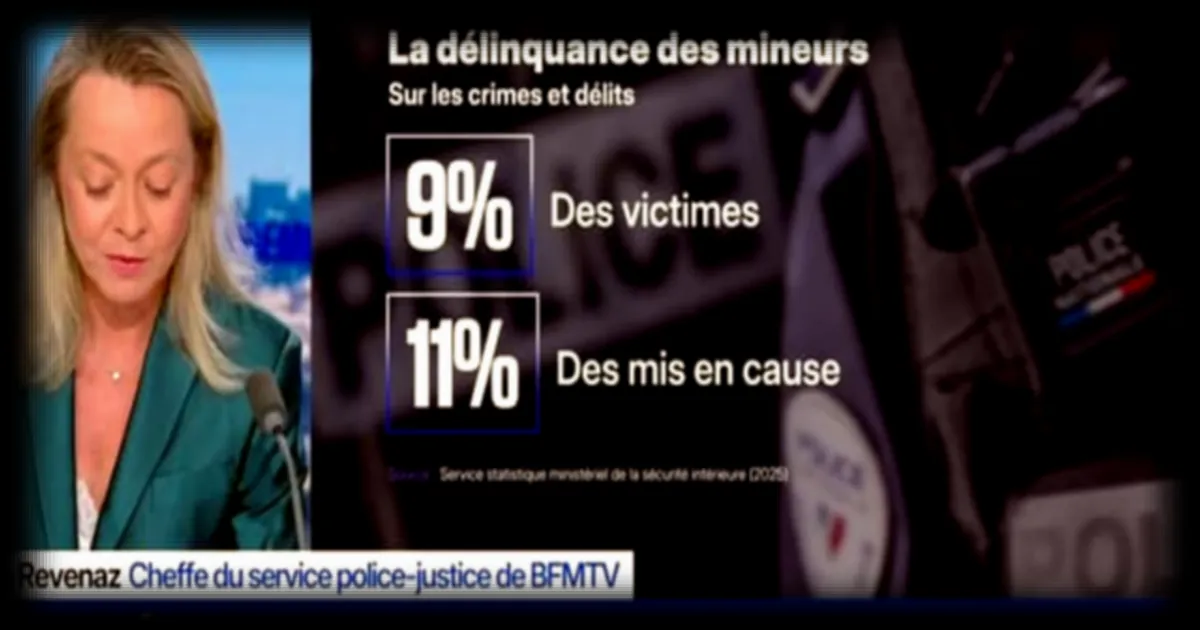 Mineurs auteurs de crimes et délits : bilan et actualités récentes en France