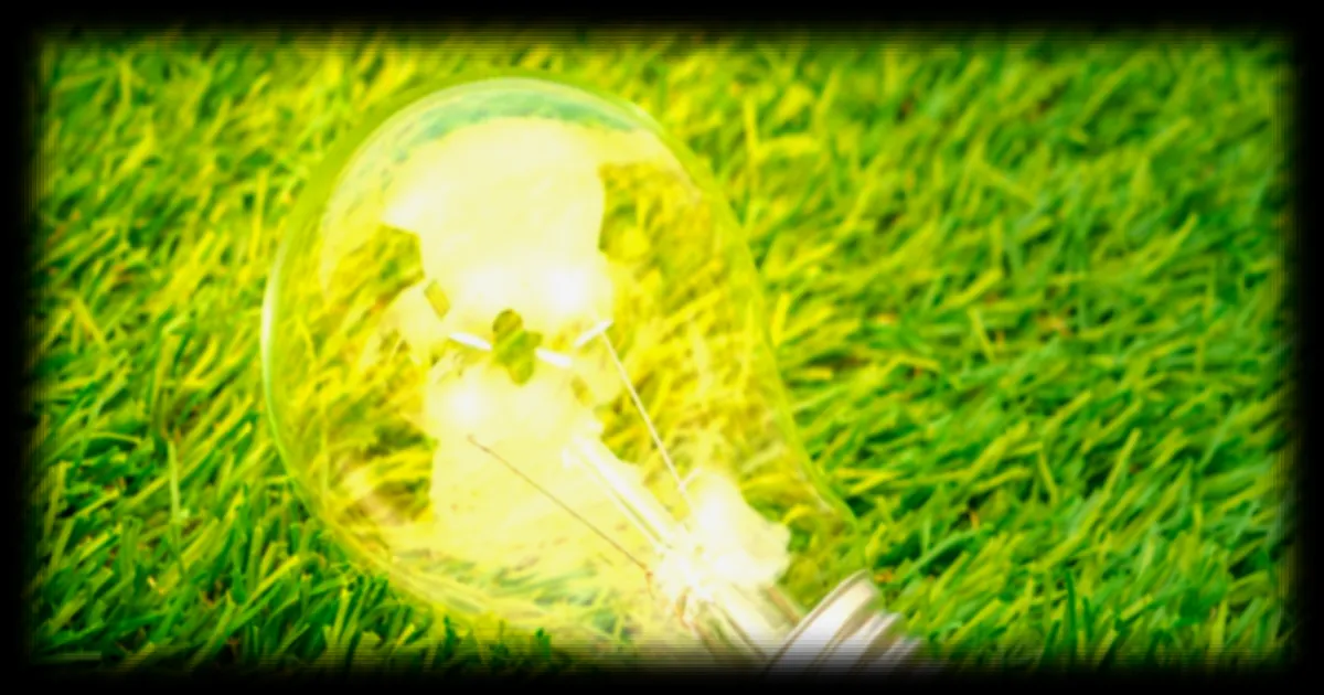 Mint Énergie mise sur des tarifs compétitifs et une électricité verte pour séduire les consommateurs