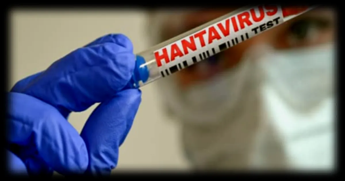 Moderna et l'armée américaine en quête d'un vaccin contre l'hantavirus après une hausse de son action