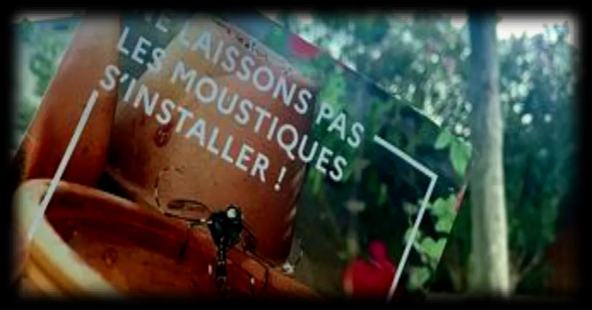 Moustique tigre à Vitrolles : les autorités appellent à une mobilisation collective face à la prolifération après l’épidémie de chikungunya de 2025