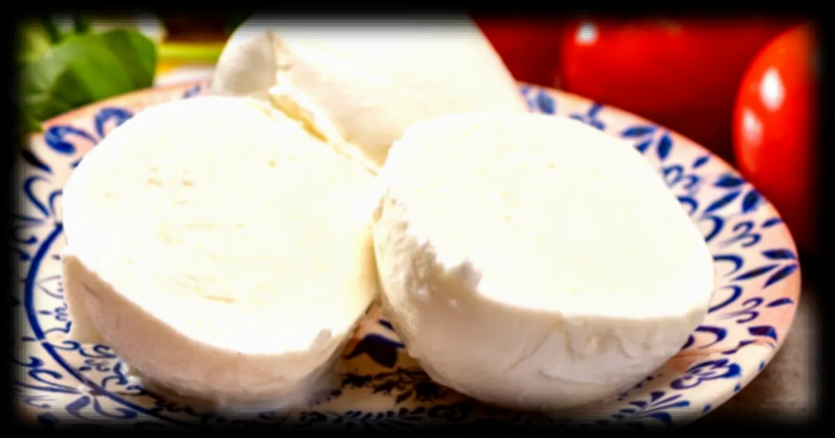 Mozzarella en supermarché en 2026 : voici les 9 marques les mieux notées par Yuka