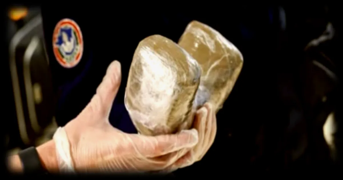 Narcotrafic en France : 84,3 tonnes de cocaïne saisies en 2025, une hausse de 58 % par rapport à 2024