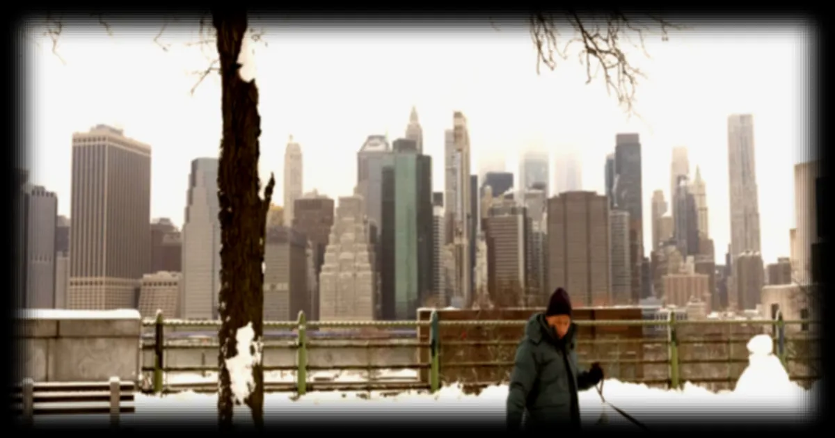 New York sous la neige : la ville se remet d'une tempête historique