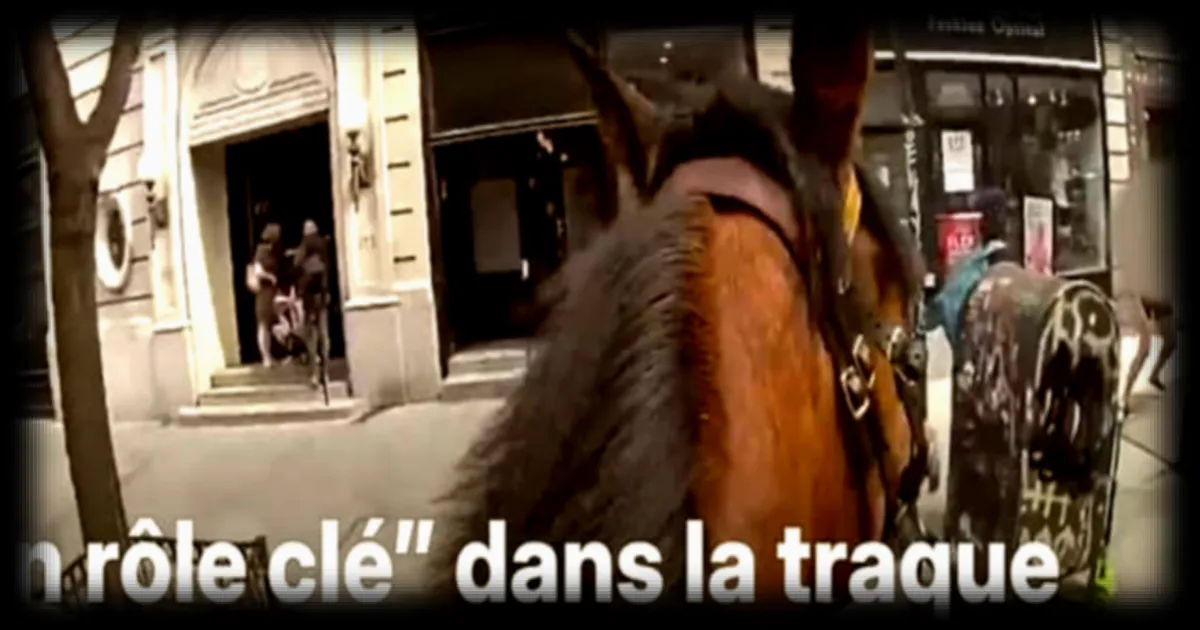 New York: un policier à cheval engage une course-poursuite selon BMF - International