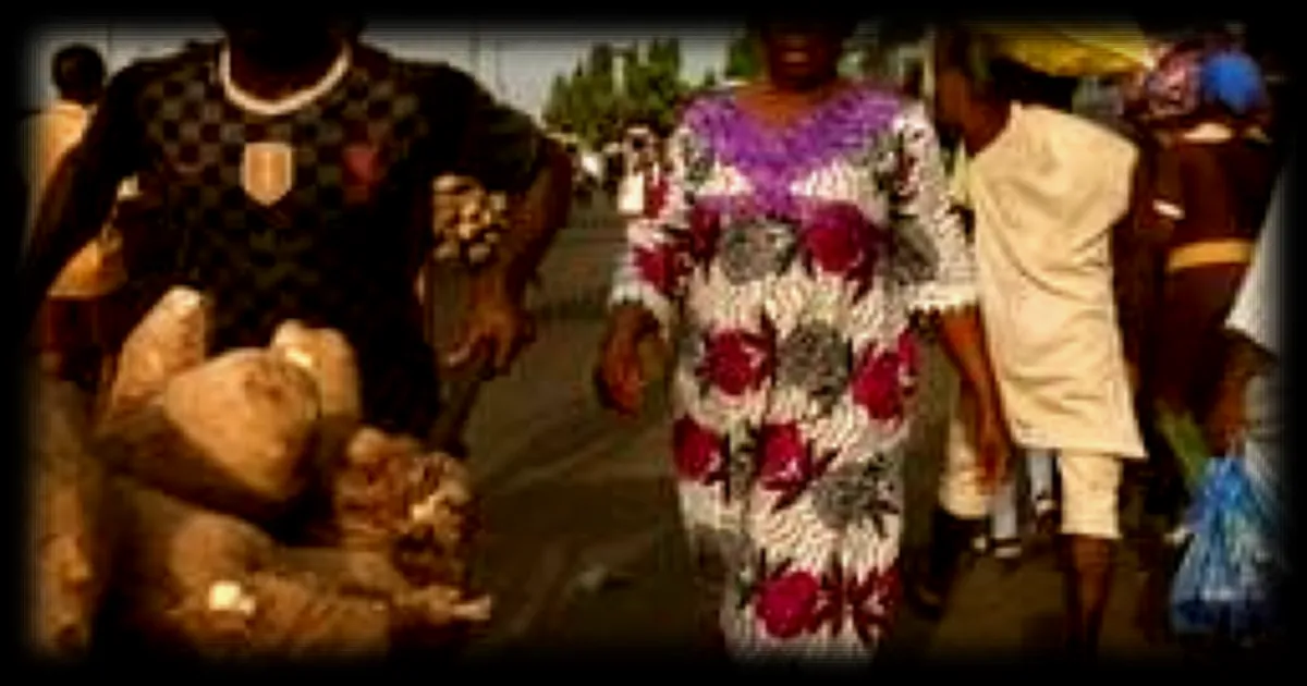 Nigeria et Turquie scellent un partenariat militaire contre les groupes jihadistes