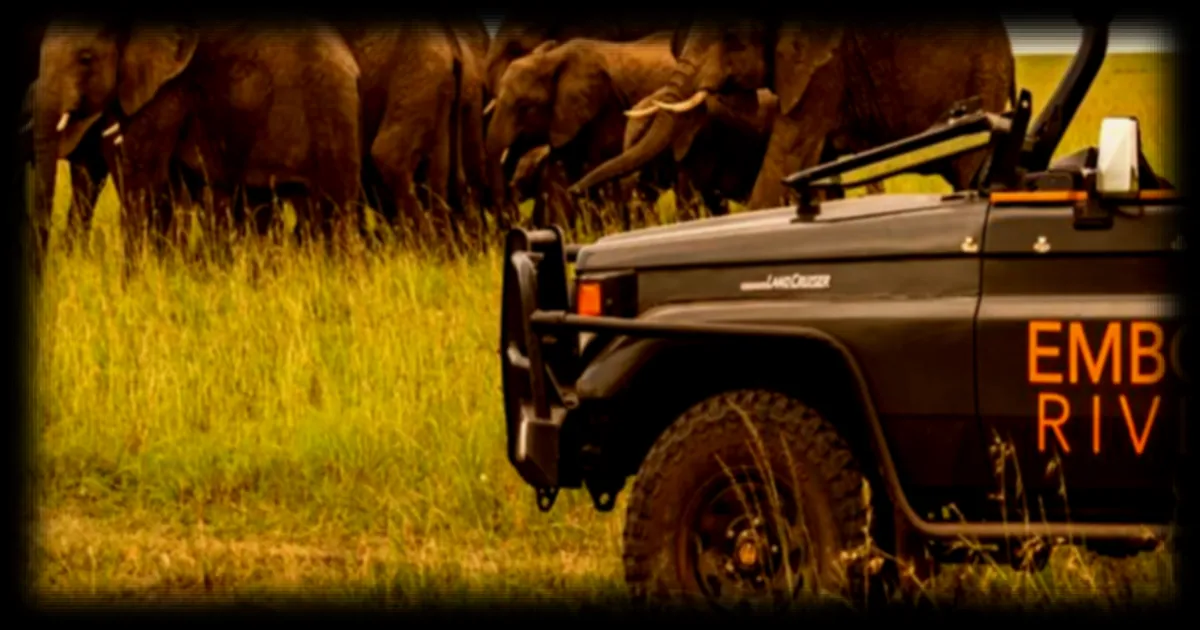 Nouveau recours contre l'hôtel Carlton-Ritz dans la réserve Masai Mara au Kenya