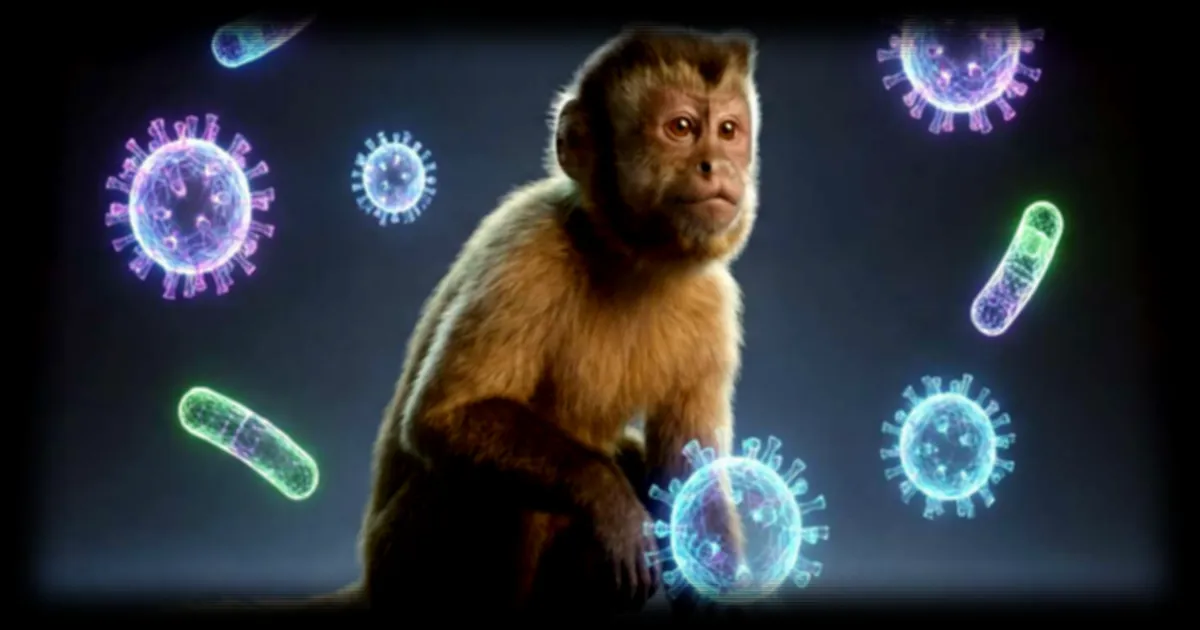 One Health Summit : les avancees pour prevenir les prochaines crises sanitaires