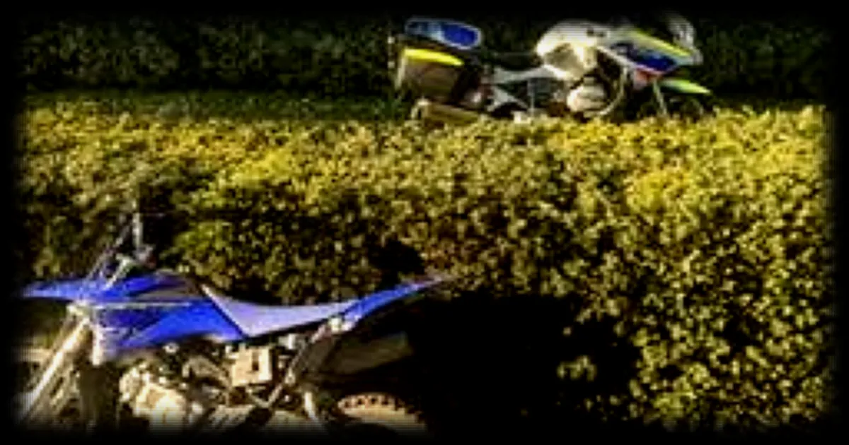 Opération anti-rodéos urbains à Nantes : interception mouvementée d’une mini-moto dans le quartier Bellevue