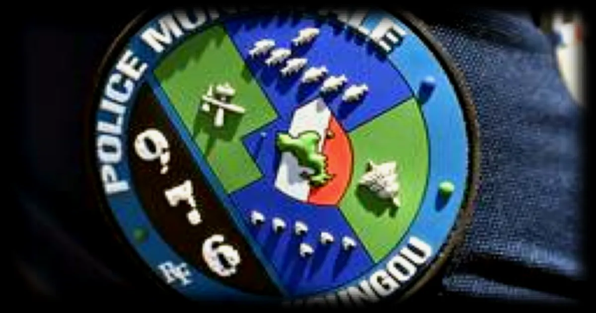 Opération de sécurité Kingia à Mayotte : 22 chefs de bande arrêtés et des heurts avec les forces de l'ordre