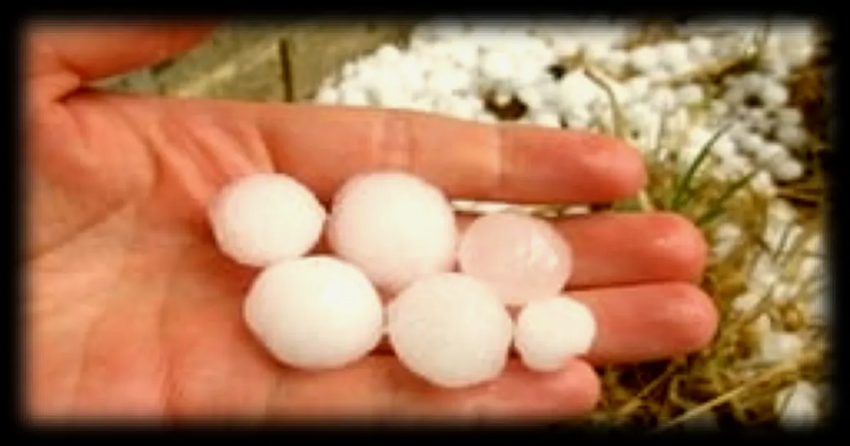 Orage de grêle à Marseille : des milliers de véhicules endommagés, les garagistes submergés