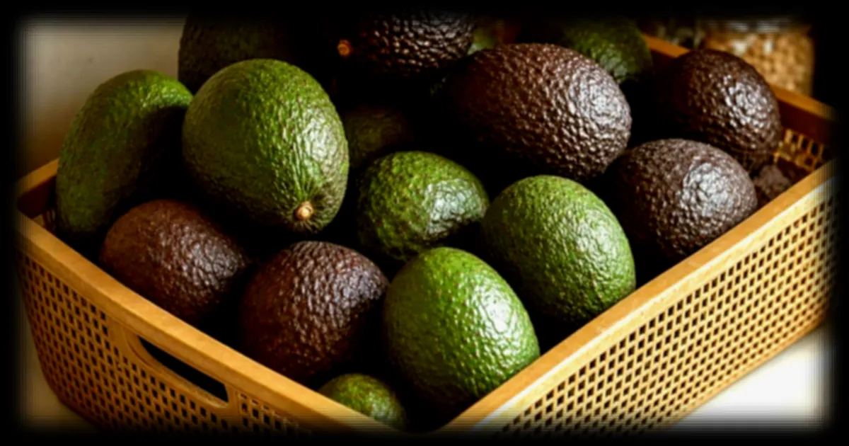 Où conserver les avocats pour une maturation optimale ? La solution déconseillée par Top Santé