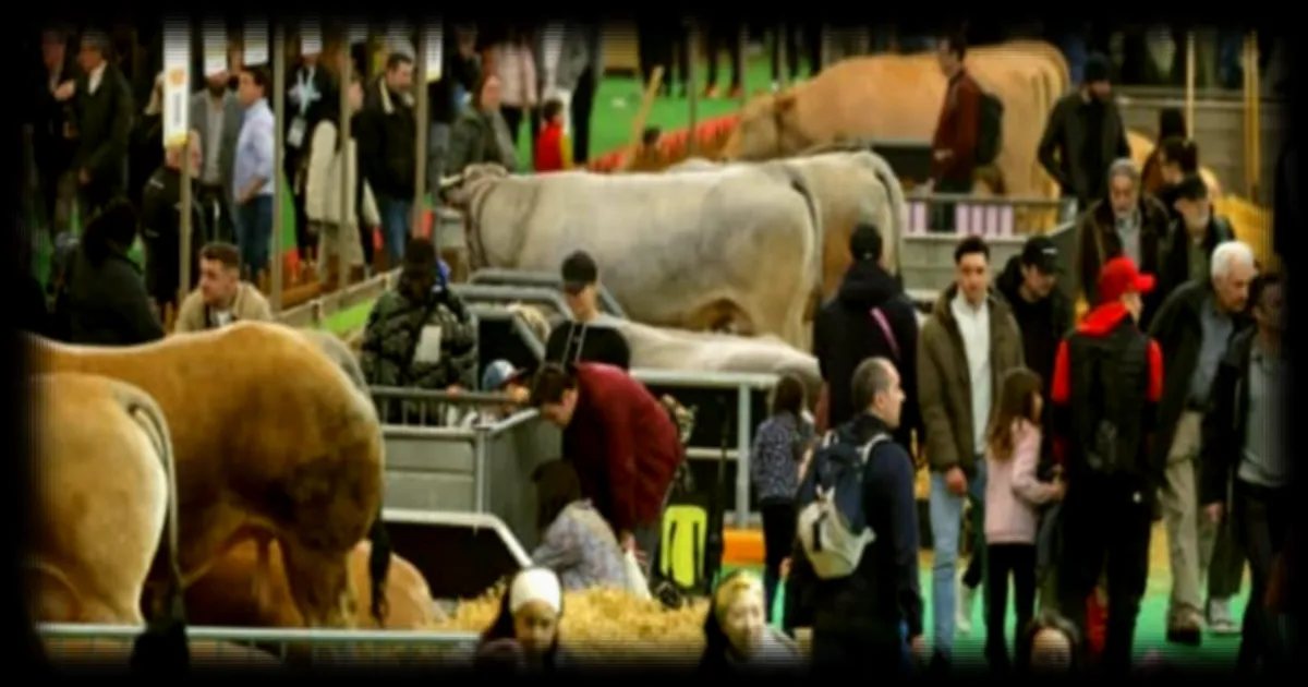 Passage du commissaire européen à l'Agriculture au Salon de l'Agriculture: réaction mitigée du secteur face aux annonces d'aides