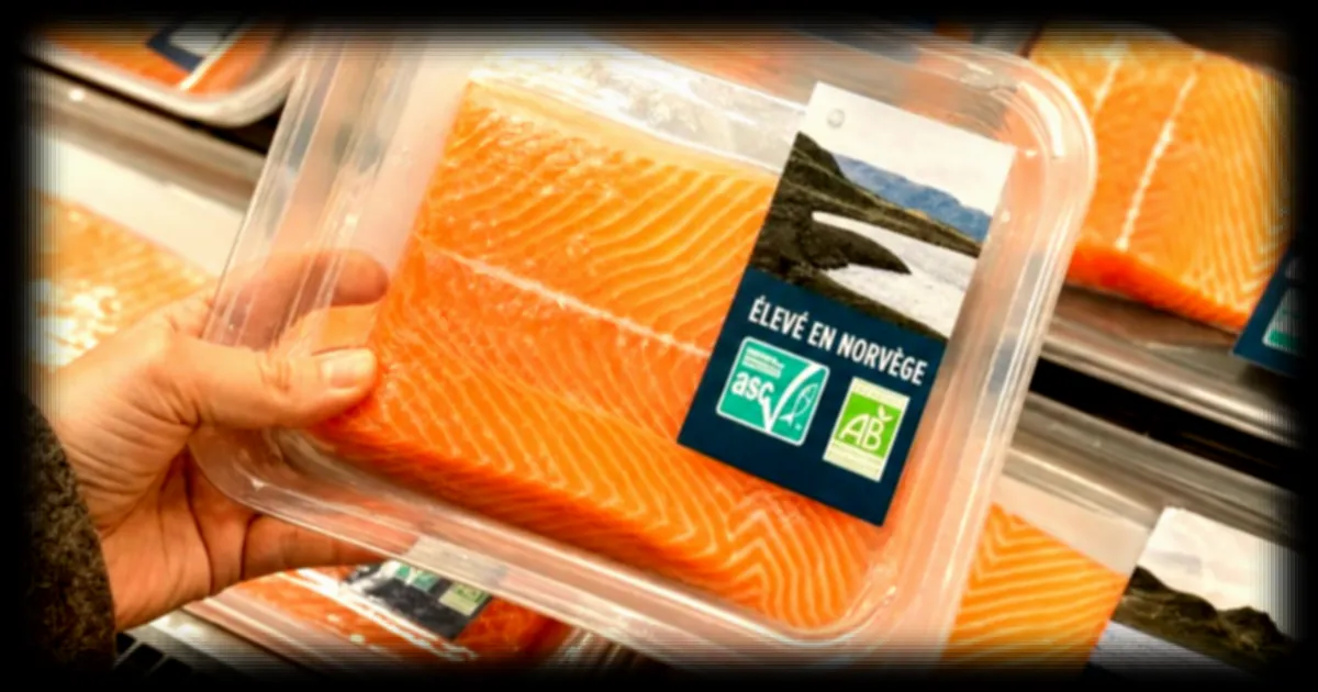 Pavé de saumon : trois marques se distinguent selon 60 Millions de consommateurs