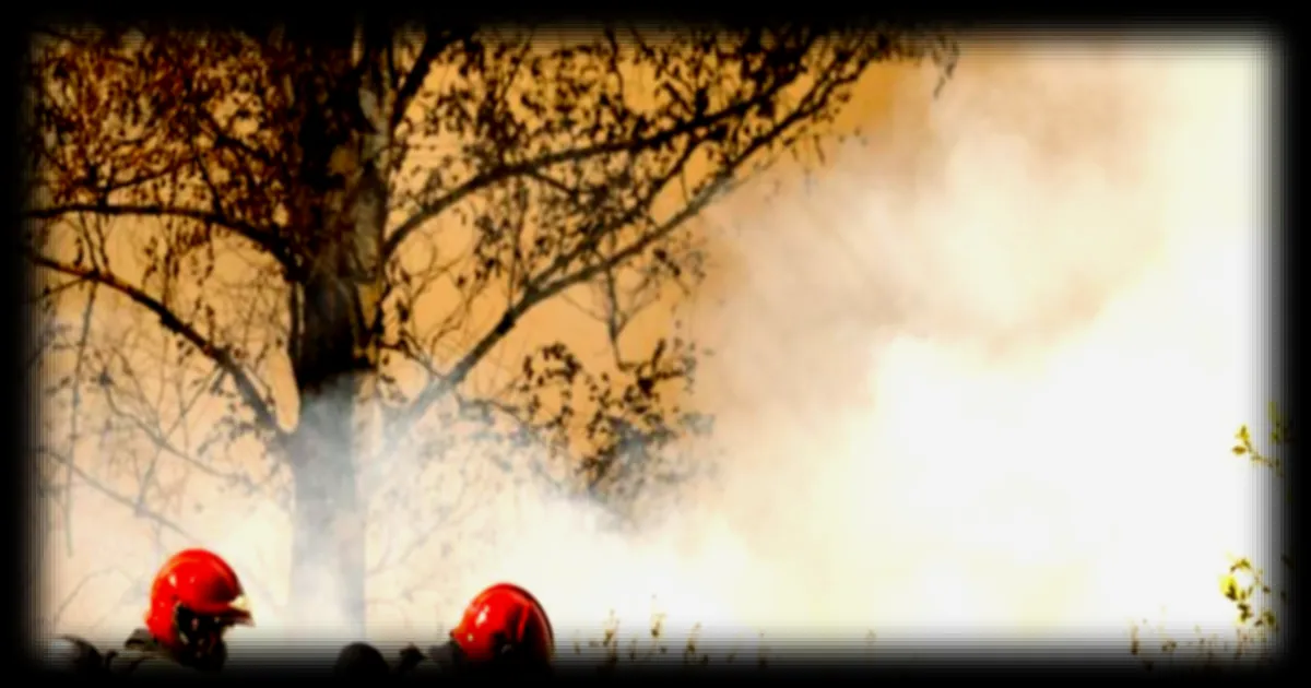 Pays-Bas: des incendies de forêt hors norme contraignent le pays à solliciter l'aide européenne