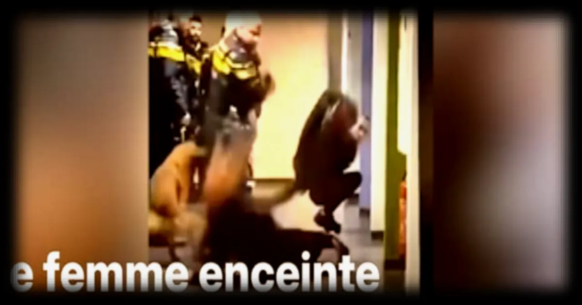 Pays-Bas : une femme enceinte agressée par des policiers dans un centre pour demandeurs d’asile