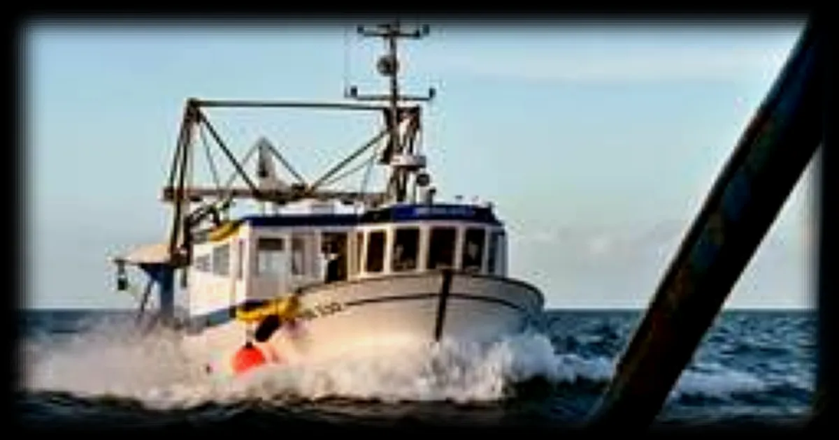 Pêche en Normandie : les grands chalutiers autorisés à nouveau près des côtes après un revirement préfectoral