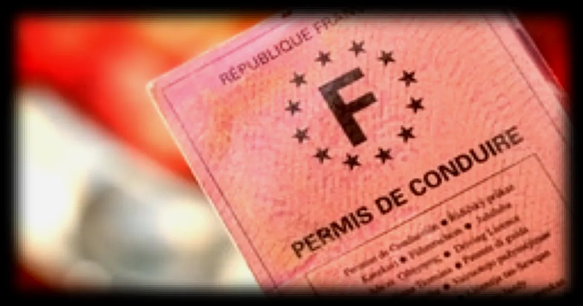 Permis de conduire invalidé pour excès de points : une automobiliste récupère son titre après un vice de procédure