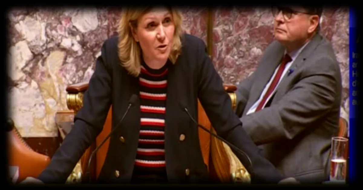 Perturbation brève lors des questions au gouvernement : un individu interpellé dans l'hémicycle