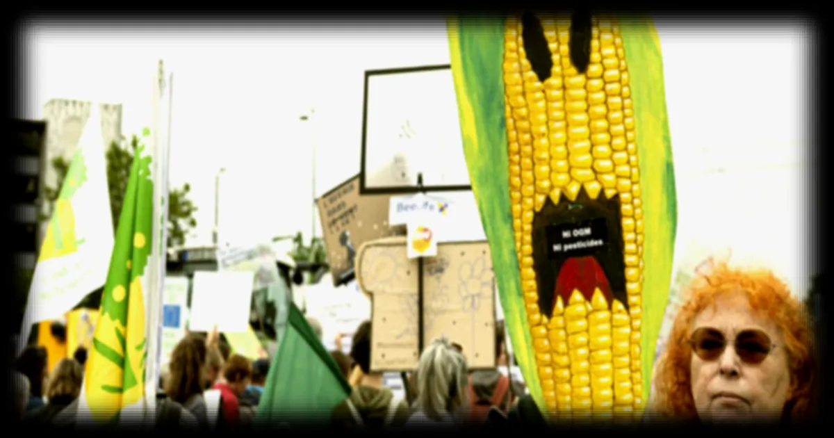 Plantes NTG : l’UE face au vote décisif sur l’assouplissement des règles OGM ce mercredi