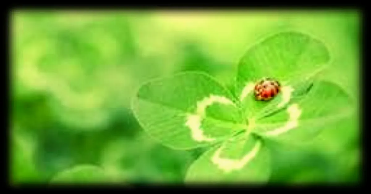 Plantes porte-bonheur ou porte-malheur : mythes et croyances décryptés