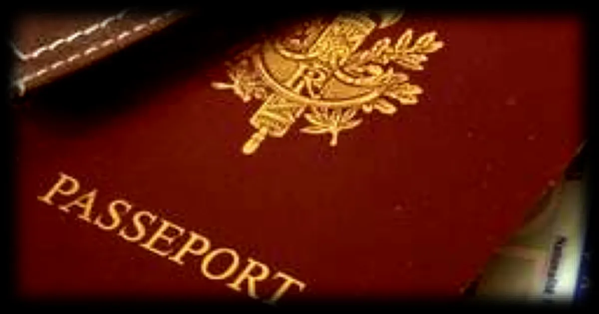 Plateforme ANTS fermée suite à une fuite de données : quelles alternatives pour gérer ses documents administratifs ?