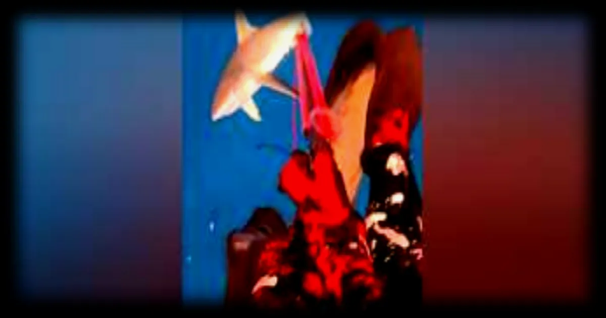 Plongeur victime d'une attaque de requin en Australie : une jambe gravement touchée
