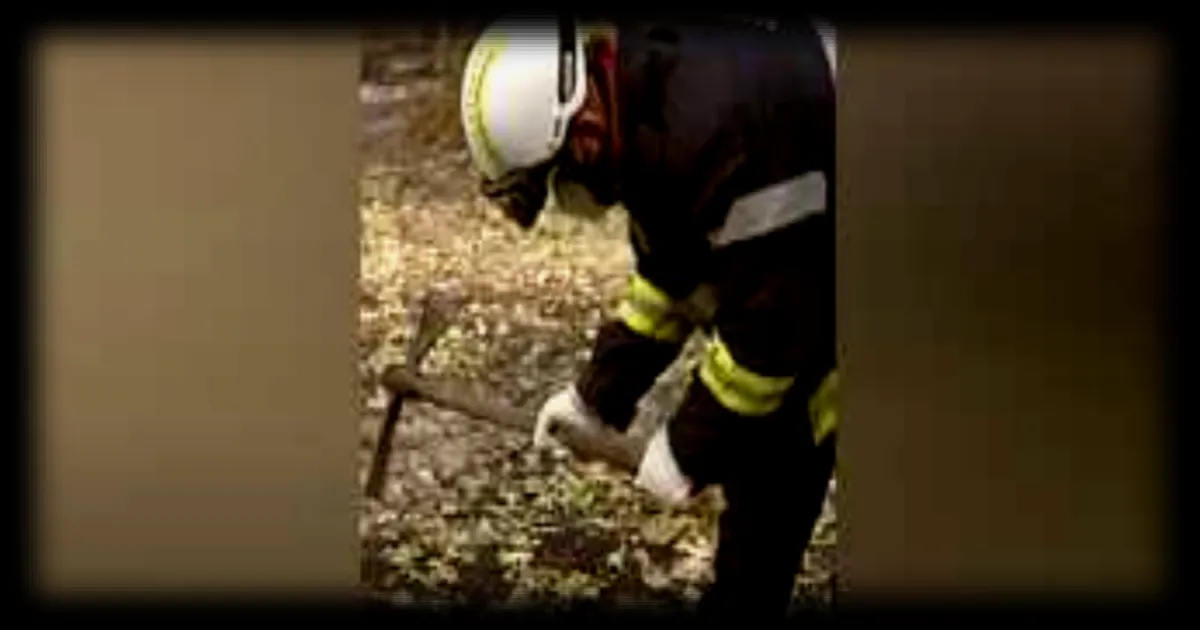 Pompiers du Var en première ligne : 230 blessés après dix jours d'incendies