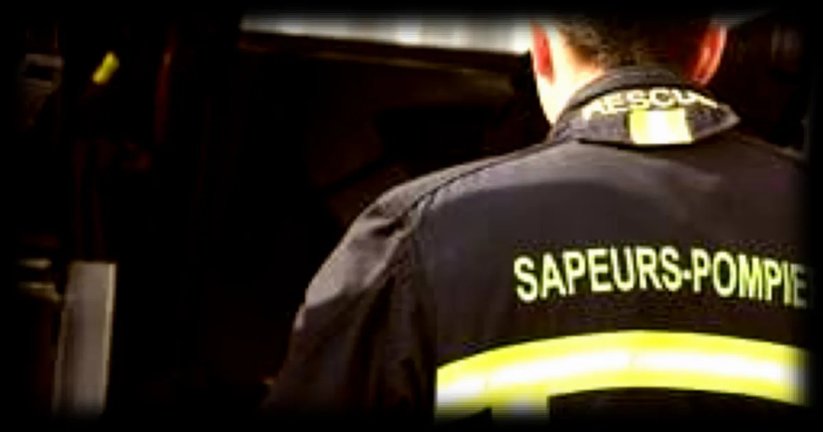 Pompiers tiris dessus lors d'un feu de voiture : l'action courageuse du sergent-chef saluée