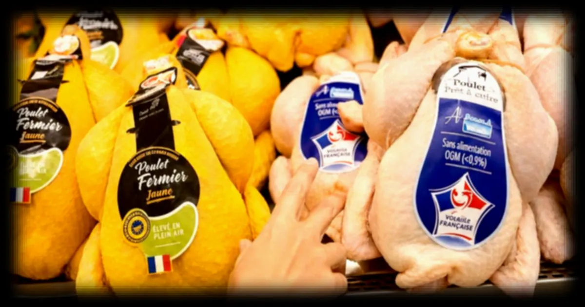 Poulet jaune ou blanc : la couleur cache des différences d'élevage et de nutrition