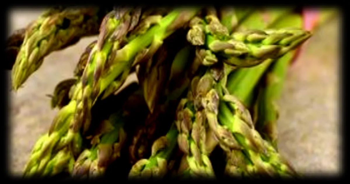 Pourquoi la consommation d'asperges modifie l'odeur de l'urine chez certaines personnes
