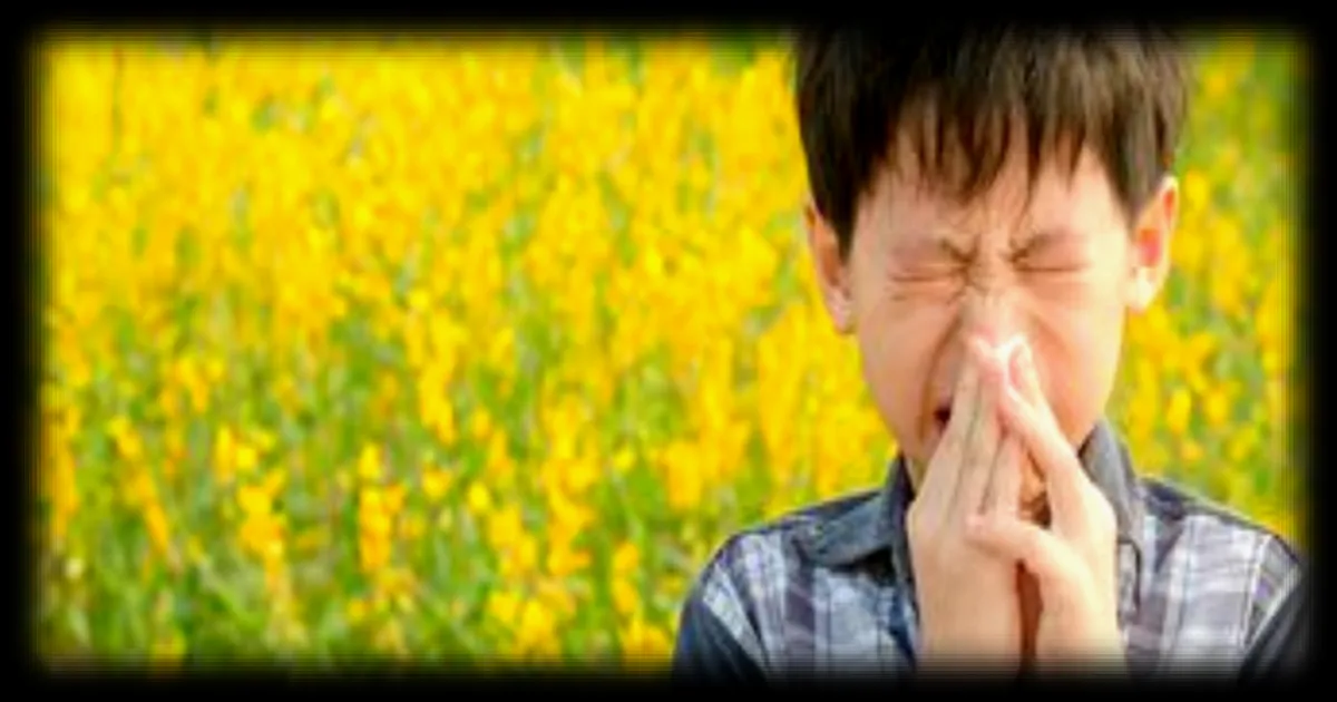 Pourquoi l'allergie au pollen est-elle en augmentation ?