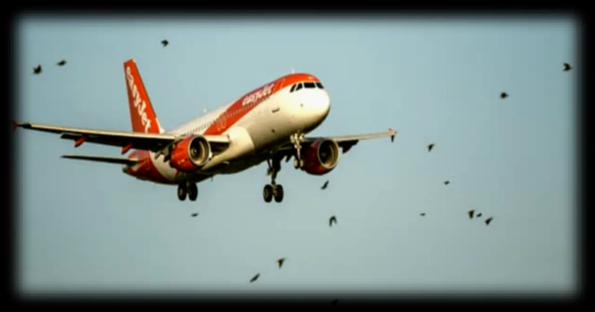 Préavis de grève des hôtesses et stewards d’EasyJet France : trois syndicats dénoncent une « dégradation continue » des conditions de travail