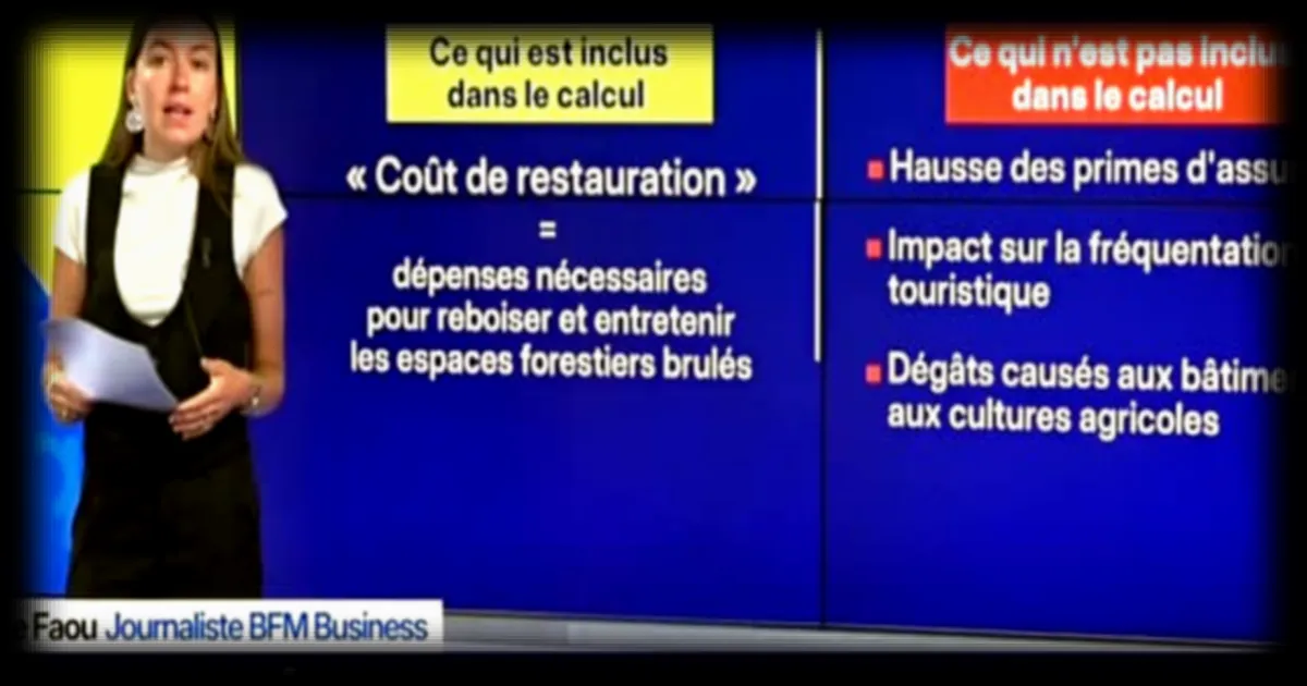 Premier bilan économique des incendies en Europe : entre coûts directs et conséquences structurelles