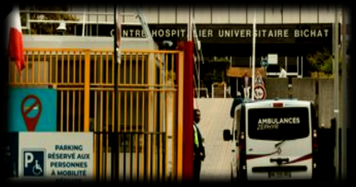 Premier cas d'Ebola en France : un médecin humanitaire guéri et de retour à domicile
