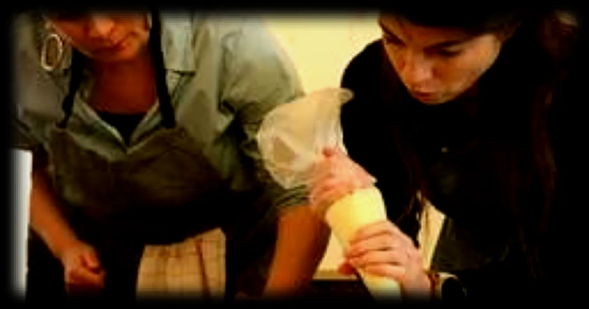 Premier concours breton amateur de l'œuf mayonnaise à Dinan : une gagnante s'envolera vers la compétition professionnelle