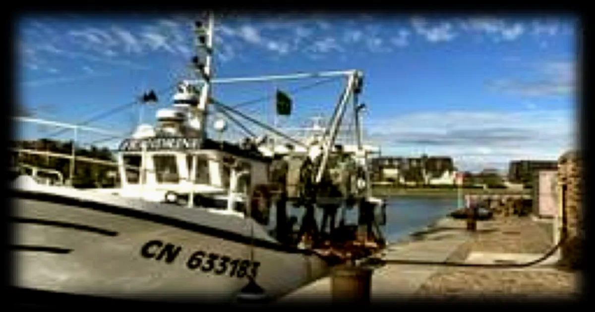 Prix du gasoil : les pêcheurs de Trouville dans l'impasse face à la hausse des coûts