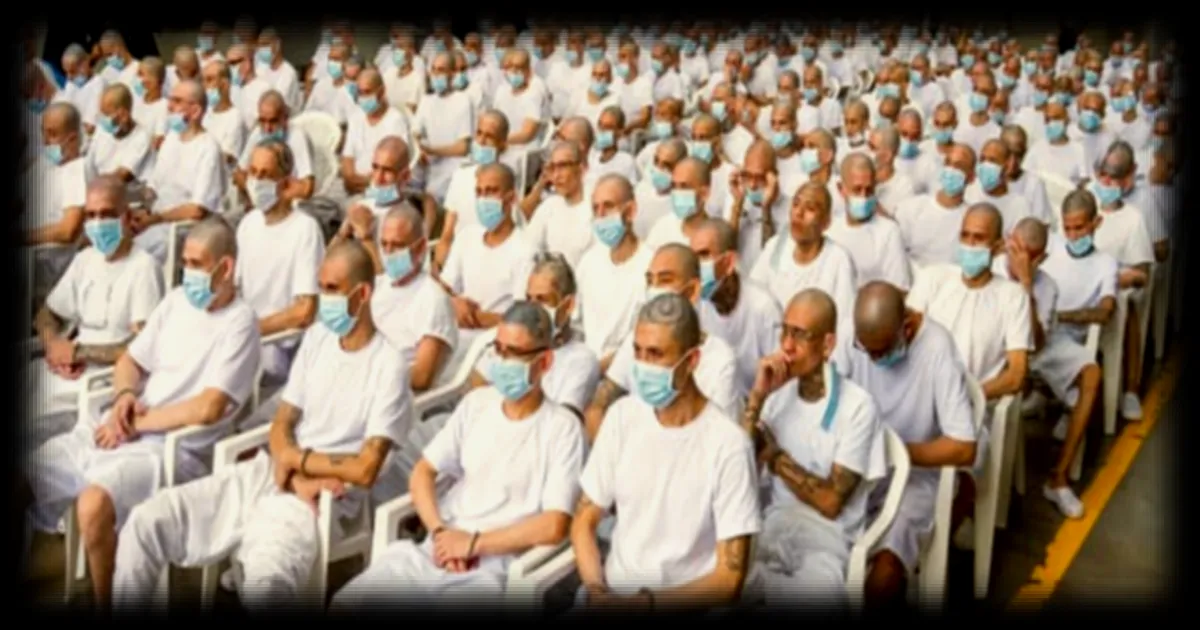 Procès du gang MS-13 au Salvador : 486 membres présumés jugés