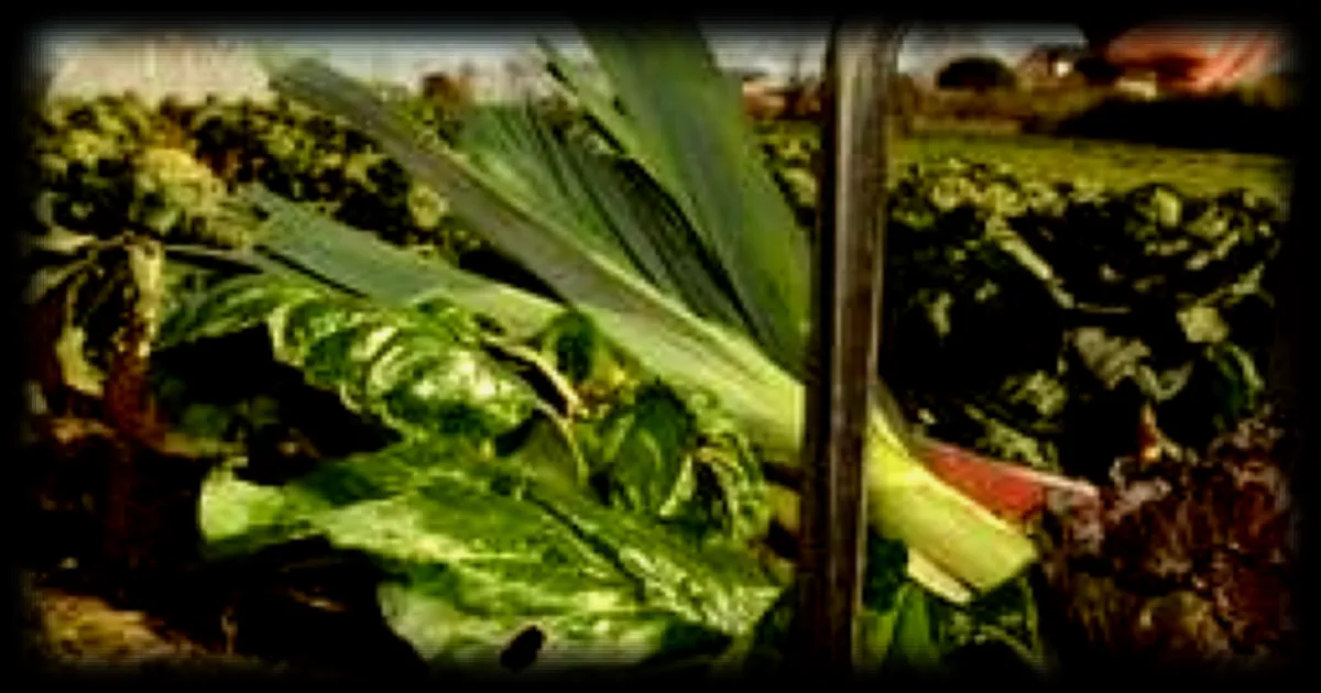 Producteurs sarthois face à la flambée des prix du carburant : des craintes pour l’avenir