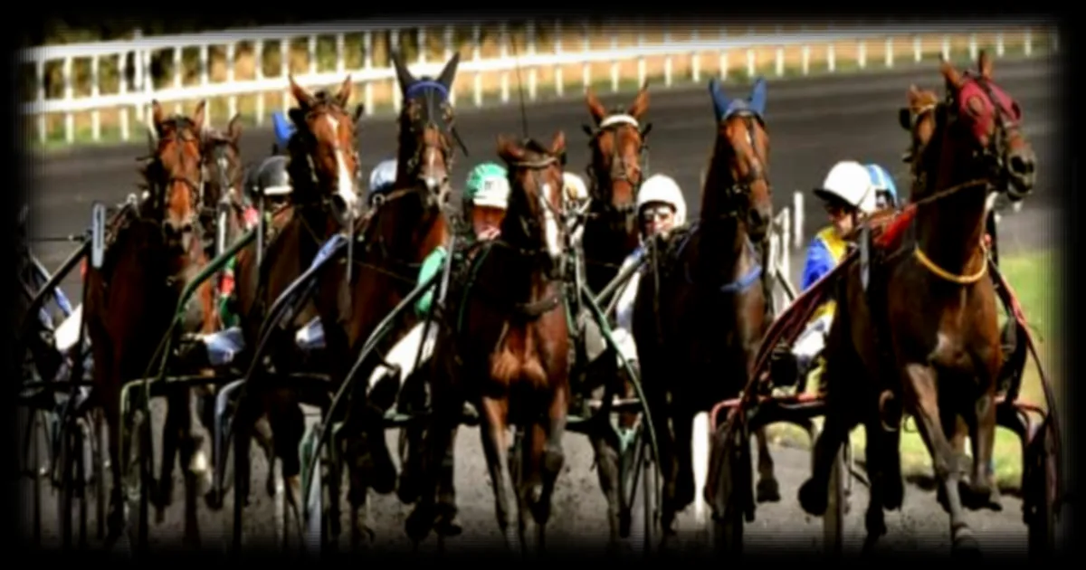 Pronostics hippiques du Quinté+ à Saint-Cloud ce 1er mai 2026 : les chevaux à suivre selon RMC Sport