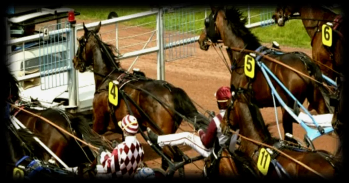 Pronostics hippiques : le Quinté+ du 1er juillet 2026 sur l'hippodrome d'Enghien selon RMC Sport