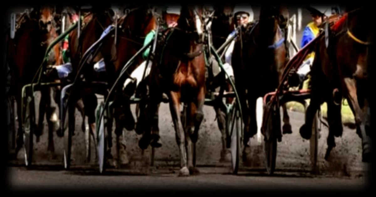 Pronostics hippiques : le Quinté+ du vendredi 12 juin 2026 à Vincennes selon RMC Sport