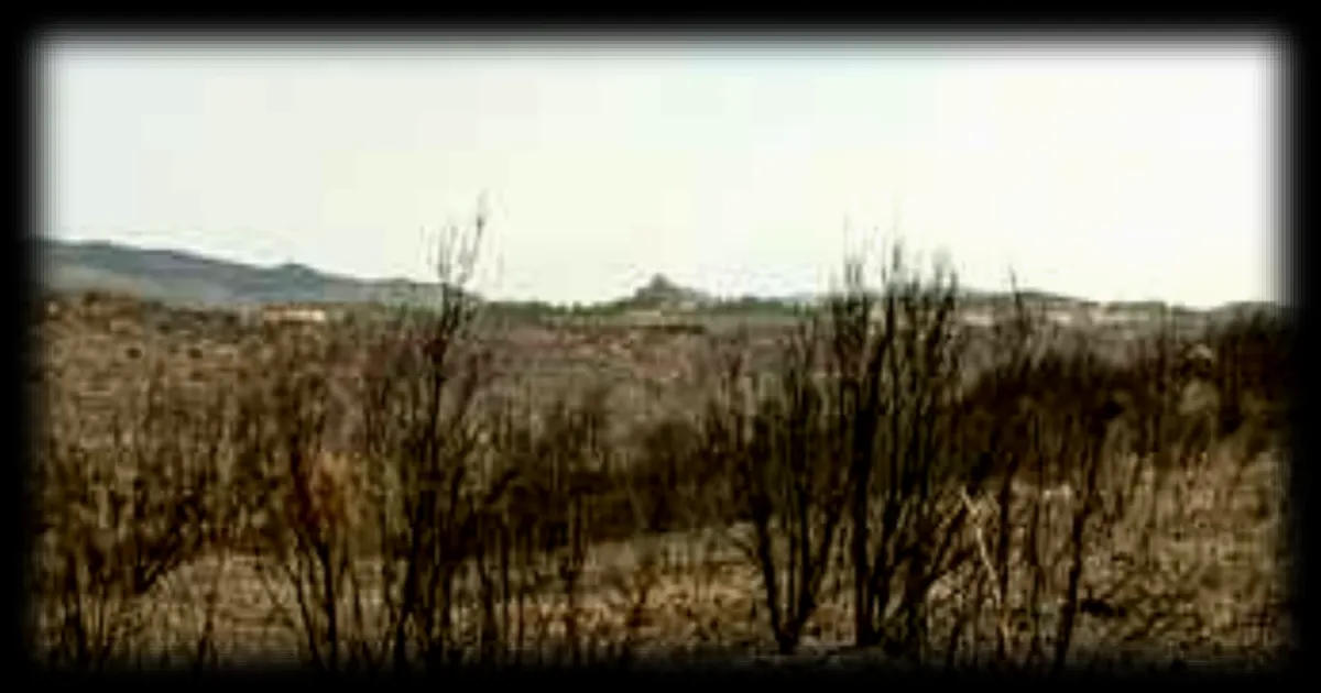 Pyrénées-Orientales : quand l’agriculture limite la propagation des incendies, l’exemple de Montalba-le-Château