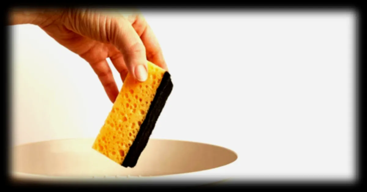 Quand faut-il remplacer votre éponge de cuisine pour des raisons de santé ?
